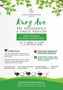 Kurz_AVE_2019_plagat